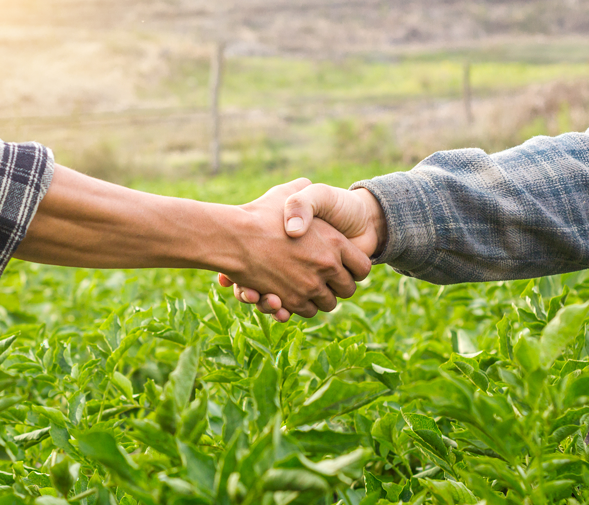 Langfristige Partnerschaften mit unseren Landwirten